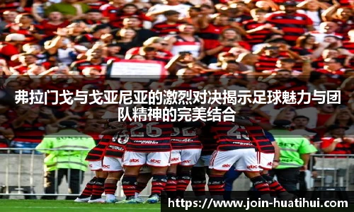 hth体育官网入口